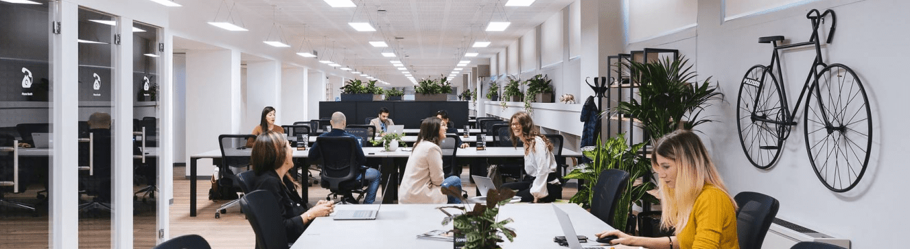 Nexvora Technologies